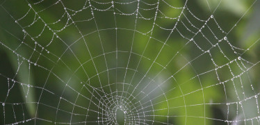 Afbeelding van Ambitieweb