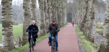 Afbeelding van Factsheet senioren en bewegen
