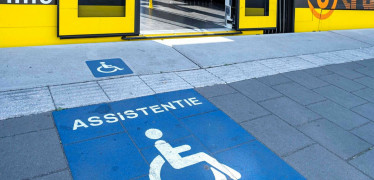 Afbeelding van Woordenboek reizigerskenmerken