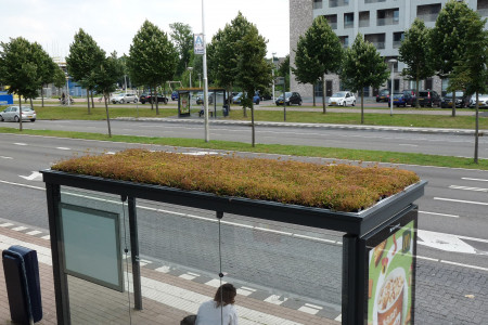 Fysieke infrastructuur