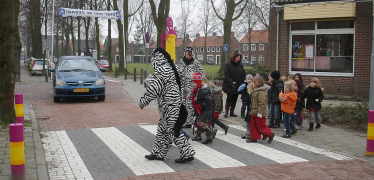 Afbeelding van Verkenning zebrapaden - Aanbevelingen voor toepassing en inrichting